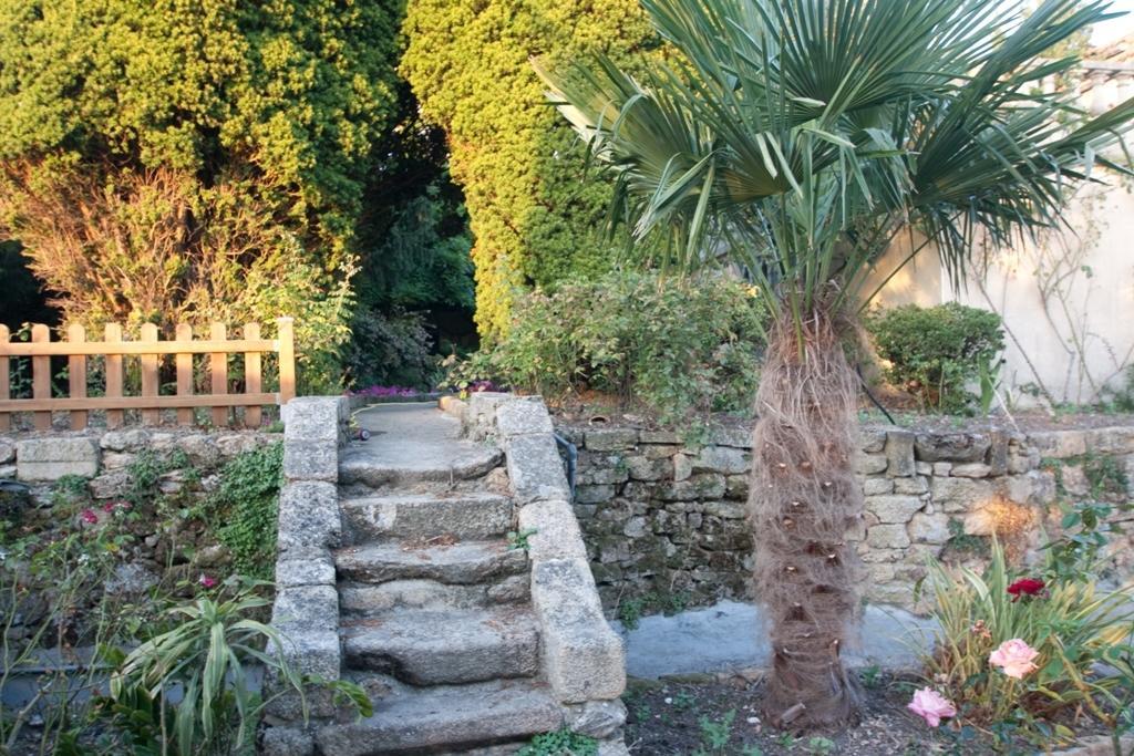 Le Petit Chateau - Tiffauges Proche Puy Dufou מראה חיצוני תמונה